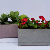 chậu composite chữ nhật vân đá