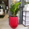 chậu tự dưỡng thông minh dáng bầu