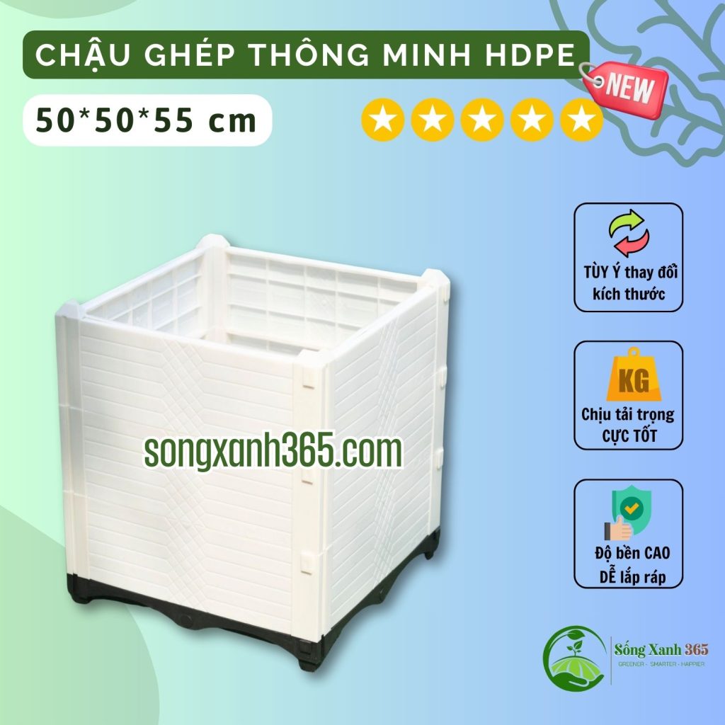 chậu trồng cây leo giàn, cây ăn quả