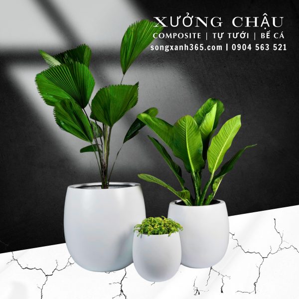 chậu composite cao cấp kim khánh