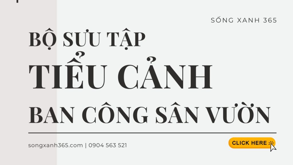 bộ sưu tập tiểu cảnh sân vườn