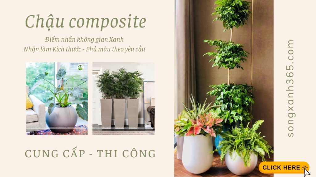 Chậu composite decor