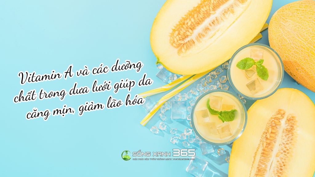 Dưa lưới và giá trị dinh dưỡng của dưa lưới , trồng như thế nào mới hiệu quả