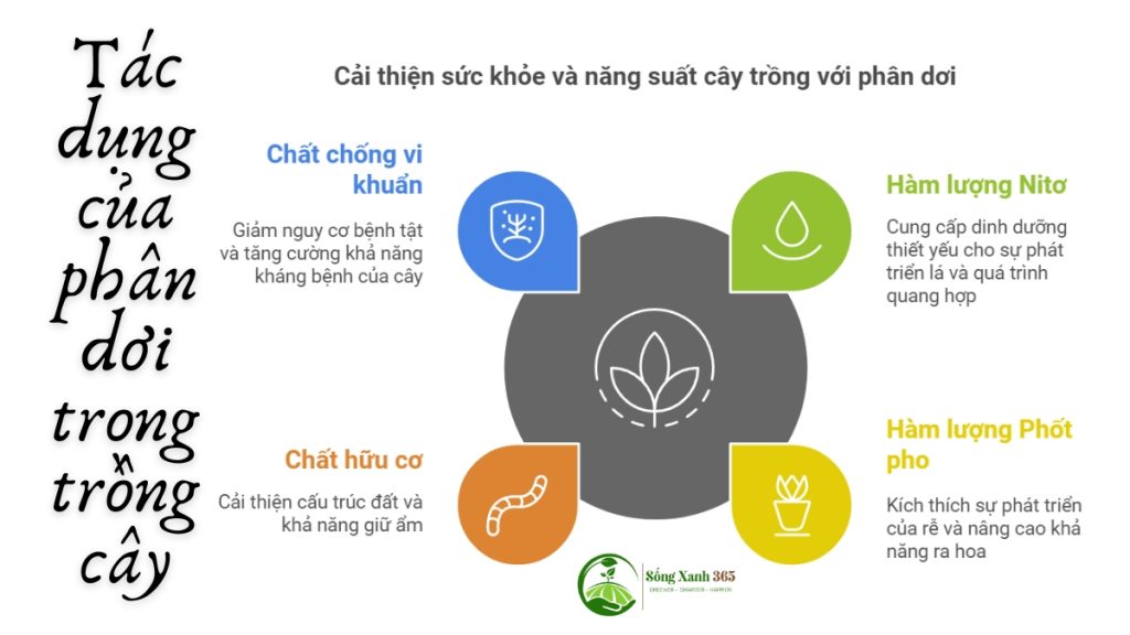 Tác dụng của phân dơi trong nông nghiệp