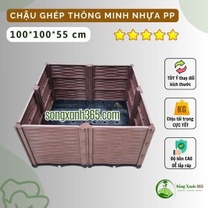 chậu ghép trồng rau trồng rau sạch