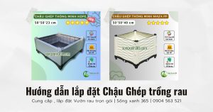 hướng dẫn lắp đặt chậu ghép trồng rau