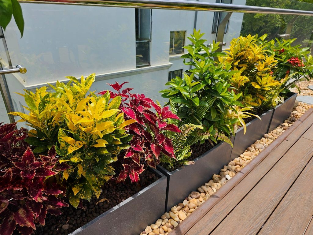 Chậu composite PVC FOAM ứng dụng trồng hoa ban công