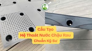 cau tao thoat nuoc chau hdpe