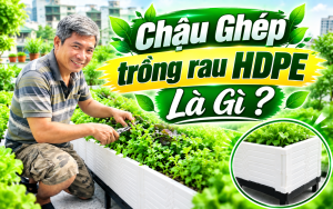 Chậu ghép trồng rau HDPE